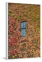 Autumn Ivy, Fargo, North Dakota, USA-Walter Bibikow-Framed Photographic Print