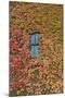 Autumn Ivy, Fargo, North Dakota, USA-Walter Bibikow-Mounted Photographic Print