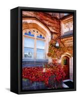 Autumn Ivy Princeton University New Jersey-George Oze-Framed Stretched Canvas