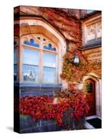 Autumn Ivy Princeton University New Jersey-George Oze-Stretched Canvas