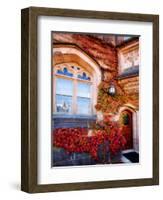 Autumn Ivy Princeton University New Jersey-George Oze-Framed Photographic Print