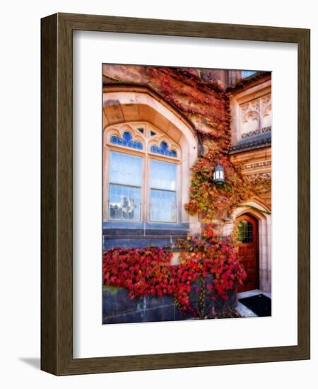 Autumn Ivy Princeton University New Jersey-George Oze-Framed Photographic Print