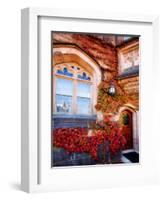 Autumn Ivy Princeton University New Jersey-George Oze-Framed Photographic Print