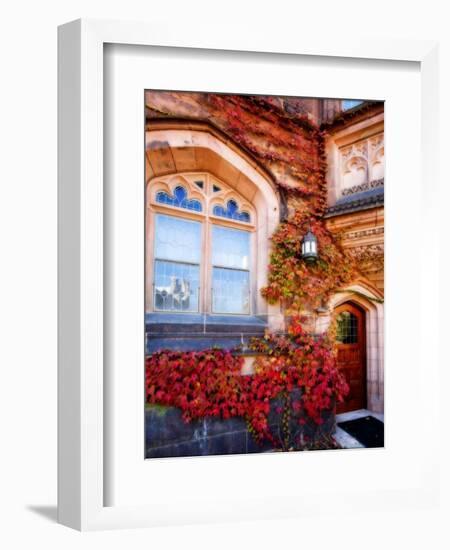 Autumn Ivy Princeton University New Jersey-George Oze-Framed Photographic Print