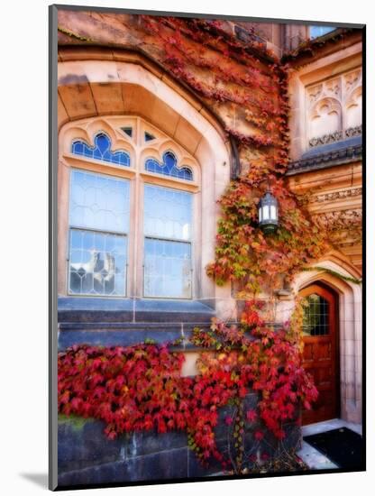 Autumn Ivy Princeton University New Jersey-George Oze-Mounted Photographic Print