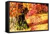 Autumn Japanese Garden with Maple-NicholasHan-Framed Stretched Canvas