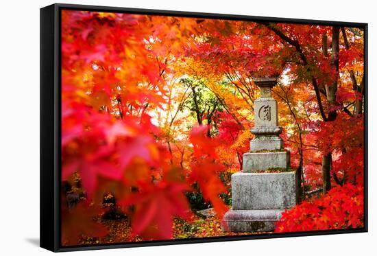 Autumn Japanese Garden with Maple-NicholasHan-Framed Stretched Canvas