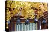 Autumn Japanese Garden with Maple-NicholasHan-Stretched Canvas