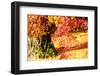 Autumn Japanese Garden with Maple-NicholasHan-Framed Photographic Print