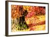 Autumn Japanese Garden with Maple-NicholasHan-Framed Photographic Print