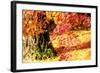 Autumn Japanese Garden with Maple-NicholasHan-Framed Photographic Print