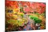 Autumn Japanese Garden with Maple-NicholasHan-Mounted Photographic Print