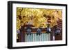 Autumn Japanese Garden with Maple-NicholasHan-Framed Photographic Print