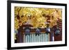 Autumn Japanese Garden with Maple-NicholasHan-Framed Photographic Print