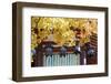 Autumn Japanese Garden with Maple-NicholasHan-Framed Photographic Print