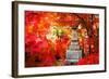 Autumn Japanese Garden with Maple-NicholasHan-Framed Photographic Print