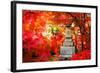 Autumn Japanese Garden with Maple-NicholasHan-Framed Photographic Print