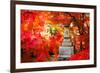 Autumn Japanese Garden with Maple-NicholasHan-Framed Photographic Print