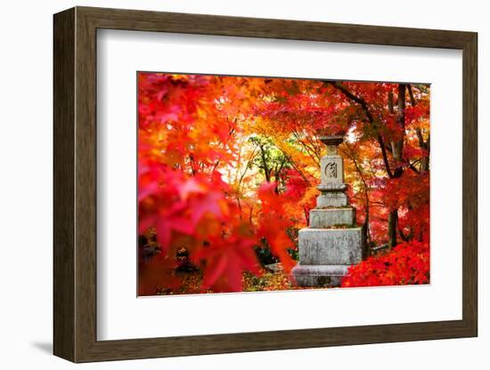 Autumn Japanese Garden with Maple-NicholasHan-Framed Photographic Print