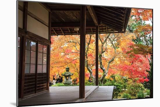 Autumn Japanese Garden with Maple-NicholasHan-Mounted Photographic Print