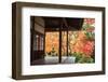 Autumn Japanese Garden with Maple-NicholasHan-Framed Photographic Print