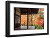 Autumn Japanese Garden with Maple-NicholasHan-Framed Photographic Print