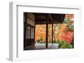 Autumn Japanese Garden with Maple-NicholasHan-Framed Photographic Print