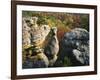 Autumn, Kings Bluff, Ozark-St. Francis National Forest, Arkansas, USA-Charles Gurche-Framed Photographic Print