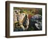 Autumn, Kings Bluff, Ozark-St. Francis National Forest, Arkansas, USA-Charles Gurche-Framed Photographic Print