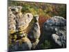 Autumn, Kings Bluff, Ozark-St. Francis National Forest, Arkansas, USA-Charles Gurche-Mounted Photographic Print