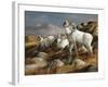 Autumn Kings-Trevor V. Swanson-Framed Giclee Print