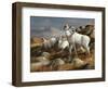 Autumn Kings-Trevor V. Swanson-Framed Giclee Print