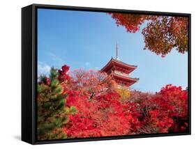 Autumn, Kyoto, Japan-Shin Terada-Framed Stretched Canvas