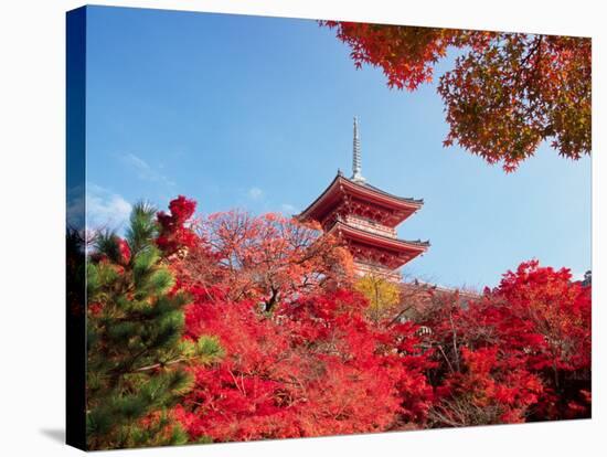 Autumn, Kyoto, Japan-Shin Terada-Stretched Canvas