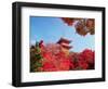 Autumn, Kyoto, Japan-Shin Terada-Framed Photographic Print