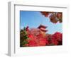 Autumn, Kyoto, Japan-Shin Terada-Framed Photographic Print