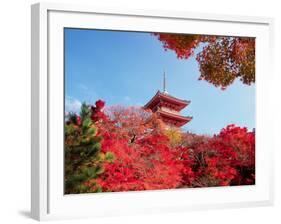 Autumn, Kyoto, Japan-Shin Terada-Framed Photographic Print