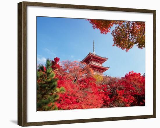 Autumn, Kyoto, Japan-Shin Terada-Framed Photographic Print