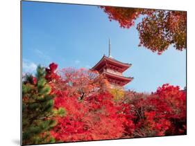 Autumn, Kyoto, Japan-Shin Terada-Mounted Photographic Print