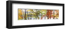 Autumn Lake II-Elissa Gore-Framed Art Print