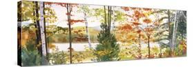 Autumn Lake III-Elissa Gore-Stretched Canvas