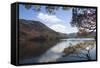 Autumn, Lake Ullswater, Lake District National Park, Cumbria, England, United Kingdom, Europe-James Emmerson-Framed Stretched Canvas