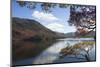 Autumn, Lake Ullswater, Lake District National Park, Cumbria, England, United Kingdom, Europe-James Emmerson-Mounted Photographic Print