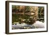 Autumn Lakeside View Of Forest-Anthony Paladino-Framed Giclee Print