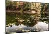 Autumn Lakeside View Of Forest-Anthony Paladino-Mounted Giclee Print