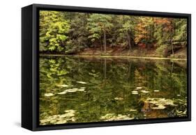 Autumn Lakeside With Lily Pads And Forest-Anthony Paladino-Framed Stretched Canvas