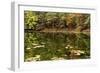 Autumn Lakeside With Lily Pads And Forest-Anthony Paladino-Framed Giclee Print