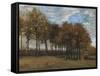 Autumn Landscape, C.1885-Vincent van Gogh-Framed Stretched Canvas