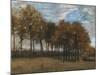 Autumn Landscape, C.1885-Vincent van Gogh-Mounted Giclee Print