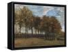 Autumn Landscape, C.1885-Vincent van Gogh-Framed Stretched Canvas